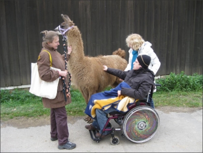 Tiergestützte Therapie mit Lamas/Alpakas_3